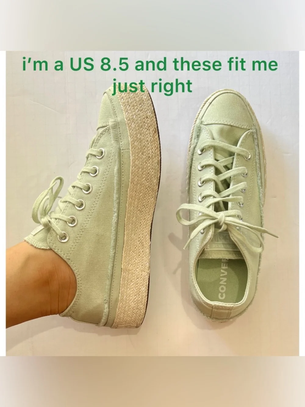 Converse looking buying